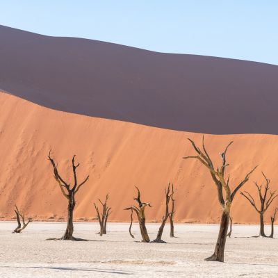 Deadvlei, Namibia